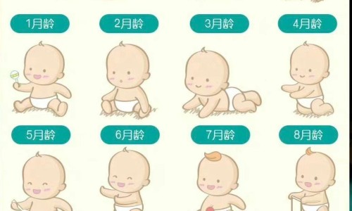 安满奶粉是名牌吗-安满奶粉是名牌吗-安满奶粉是名牌吗,中国安满配方营养奶粉怎么这么少网站